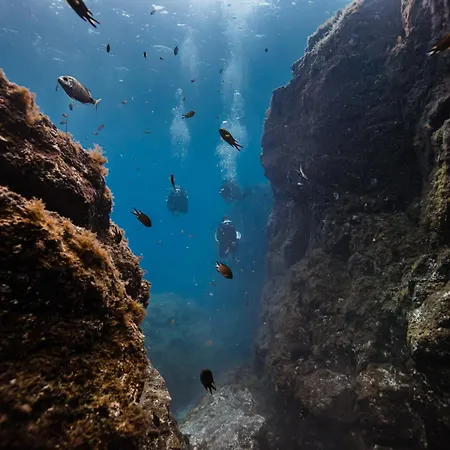 A Soles De Fuerteventura Apartmán Costa De Antigua